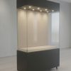 3-Sided Wall Cases - Image 2
