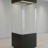 4-Sided Glass Cases - Image 2