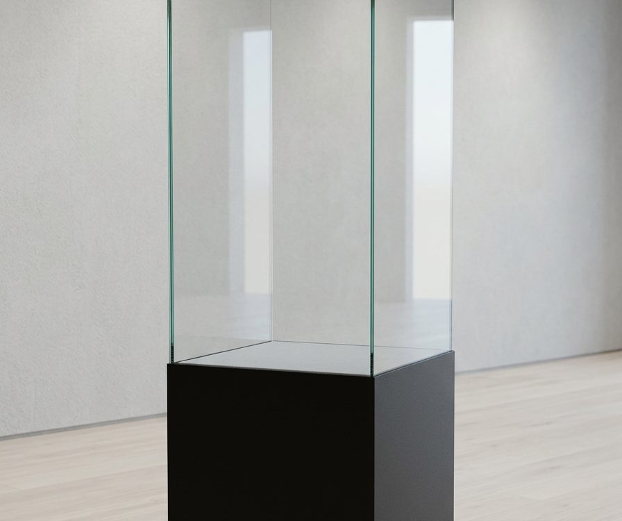 5-Sided Glass Cases